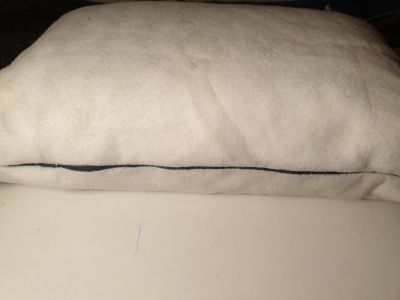 Well Filled DIY Cushion Pad without Cushion Cover